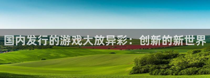 非凡游戏分分彩：国内发行的游戏大放异彩：创新的新世界