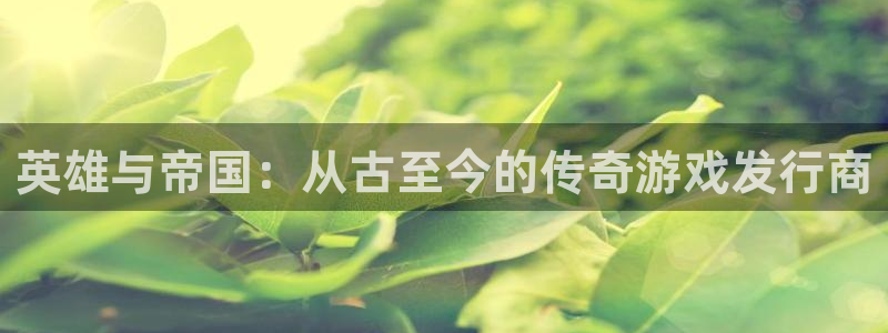 非凡游戏游戏怎么注册：英雄与帝国：从古至今的传奇游戏发行商