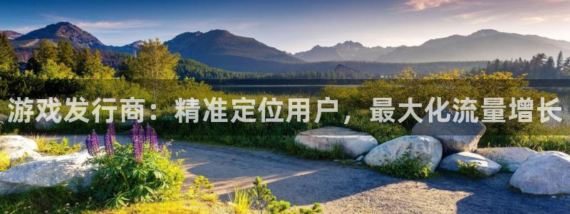 非凡游戏代理开号怎么开：游戏发行商：精准定位用户，最大化流量增长