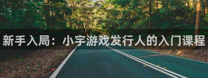 非凡游戏注册登录：新手入局：小宇游戏发行人的入门课程