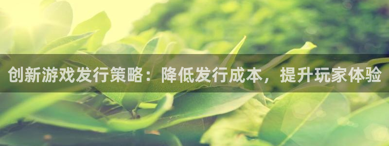 非凡游戏是境外的吗：创新游戏发行策略：降低发行成本，提升玩家体验
