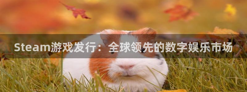 江苏非凡游戏官网智得新材料：Steam游戏发行：全球领先的数字娱乐市场