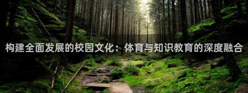 3377体育官方app下载：构建全面发展的校园文化：体育与知识教育的深度融合