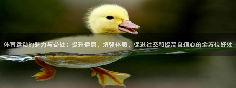 3377体育在线登录官网入口：体育运动的魅力与益处：提升健康、增强体质、促进社交和提高自信心的全方位好处