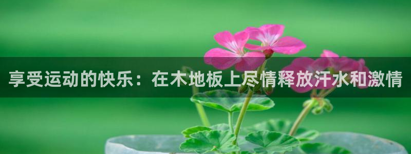 3377体育官网下载：享受运动的快乐：在木地板上尽情释放汗水和激情